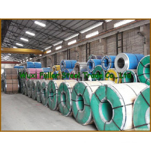 Cold Rolled Stainless Steel Plate for Bulk Buy